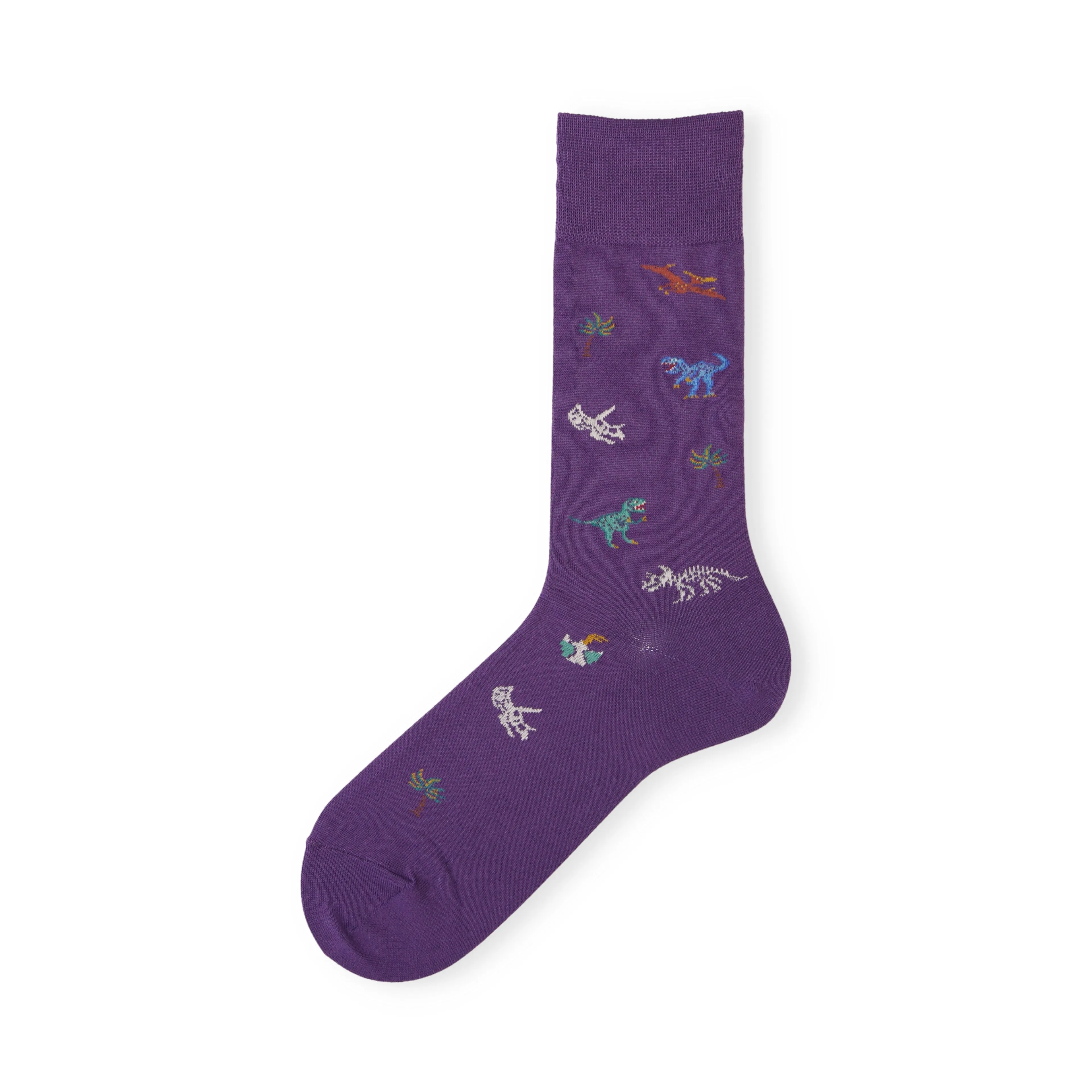 062142085 Dinosaur Pattern Crew Socks L
