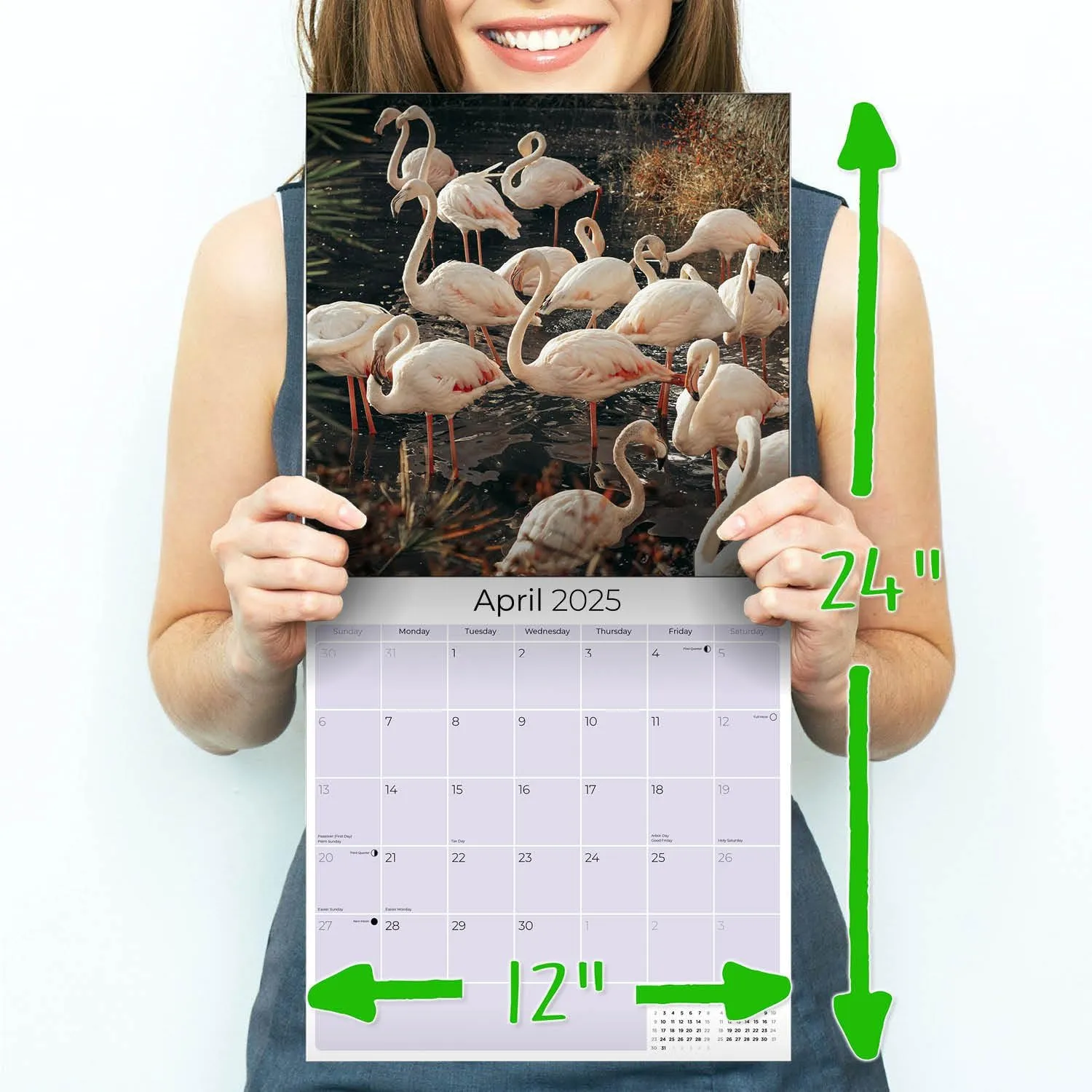 2024 2025 Flamingo Calendar - Cute Wildlife Monthly Wall Calendar - 12 x 24 Open - Thick No-Bleed Paper - Giftable - Academic Teacher's Planner Calendar Organizing & Planning
