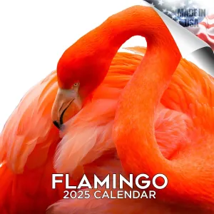 2024 2025 Flamingo Calendar - Cute Wildlife Monthly Wall Calendar - 12 x 24 Open - Thick No-Bleed Paper - Giftable - Academic Teacher's Planner Calendar Organizing & Planning