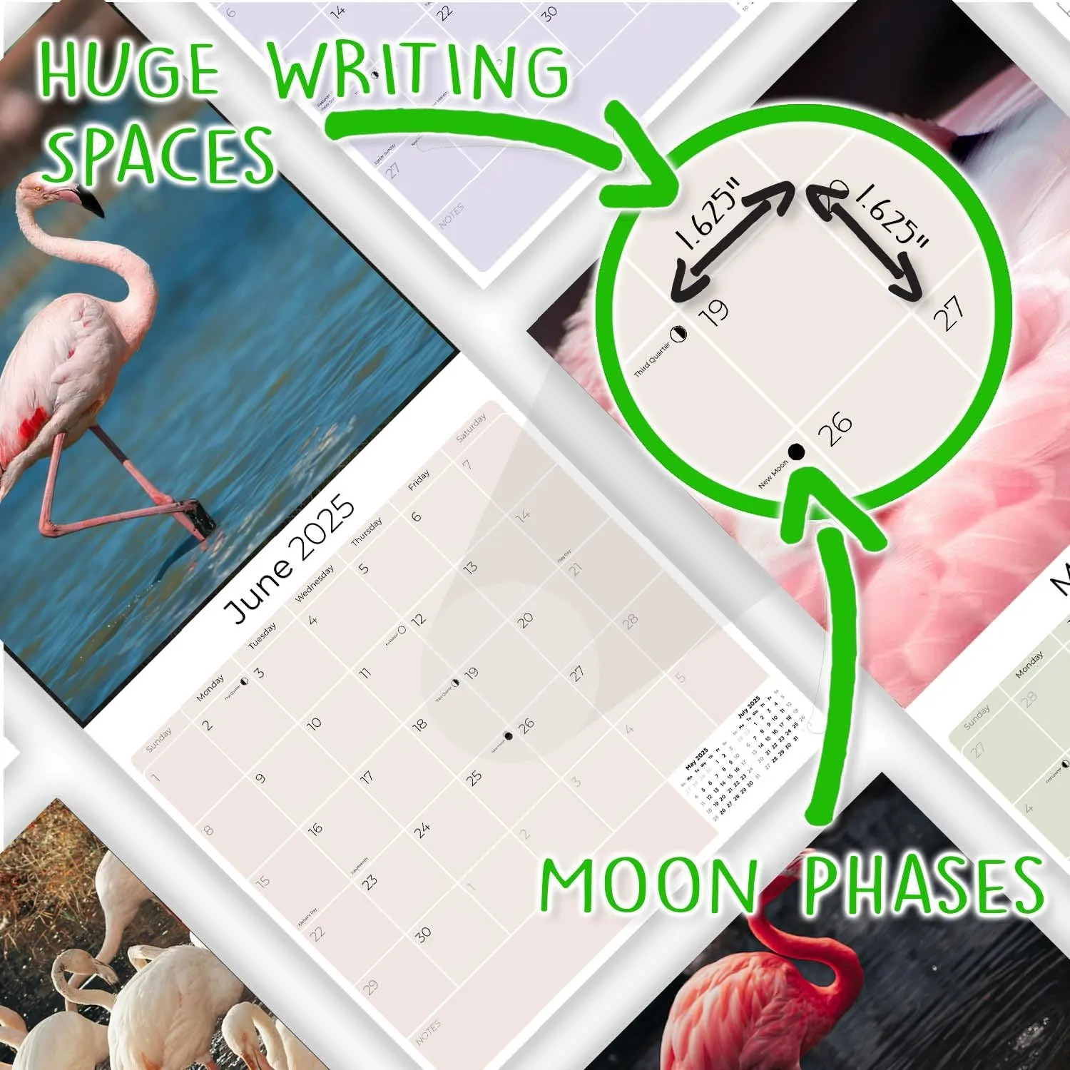 2024 2025 Flamingo Calendar - Cute Wildlife Monthly Wall Calendar - 12 x 24 Open - Thick No-Bleed Paper - Giftable - Academic Teacher's Planner Calendar Organizing & Planning