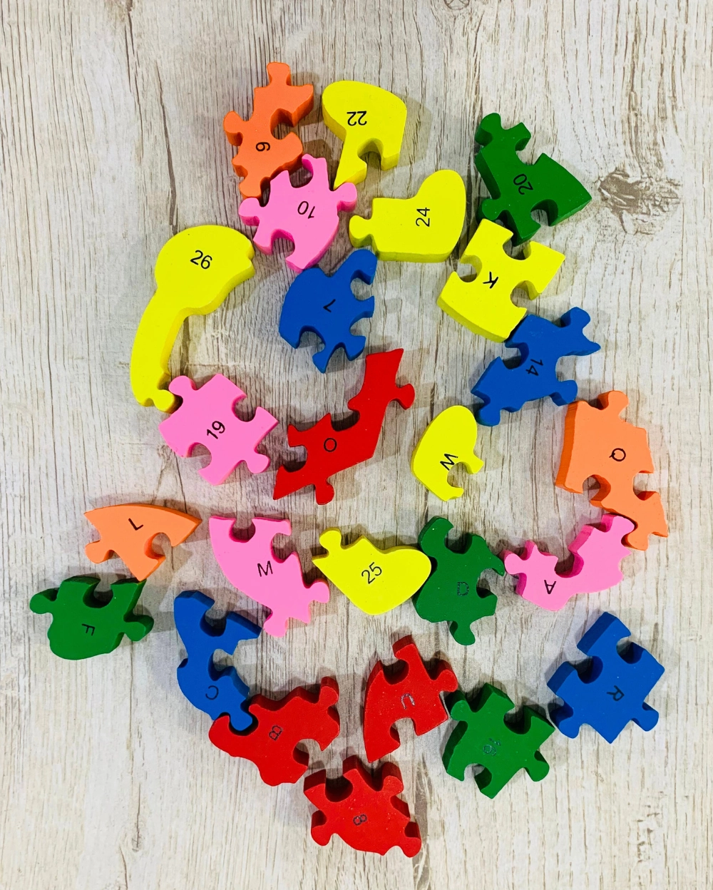Animal Kingdom Puzzle Pair