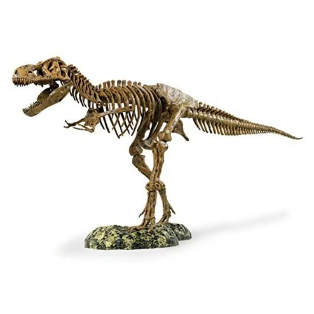 Edu Toys Dinosaur T Rex Skeleton