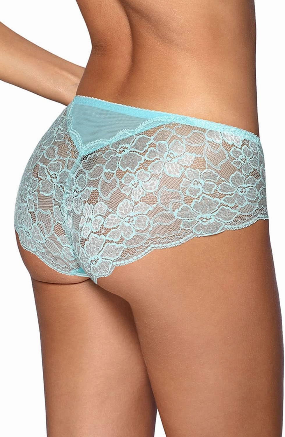 Embroidered Tulle Women's Brief V-10133
