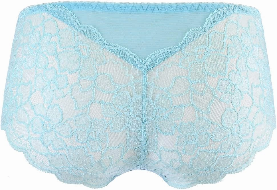 Embroidered Tulle Women's Brief V-10133