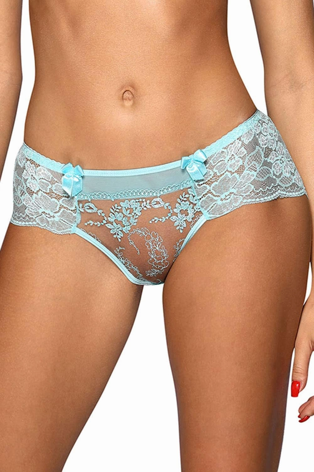Embroidered Tulle Women's Brief V-10133