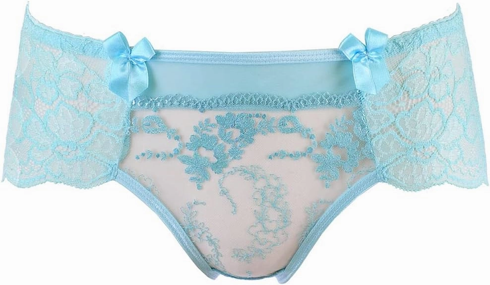 Embroidered Tulle Women's Brief V-10133