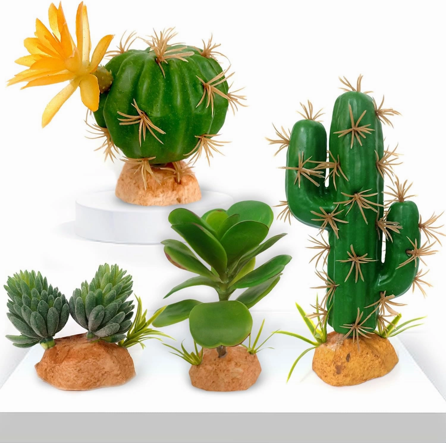 Fake Cactus Plants, Desert Reptile Plants Succulent kit, Reptile Terrarium Decorative, 4 Pcs, Artificial Cactus Decor for Home Décor and Kids Birthday Party Decor