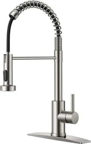 FORIOUS Kitchen Faucets, Brushed Nickel Kitchen Sink Faucet with Pull Down Sprayer, Commercial Kitchen Faucet Stainless Steel, Classic Single Handle Pull Out Sink Faucets for RV Laundry Utility Room
