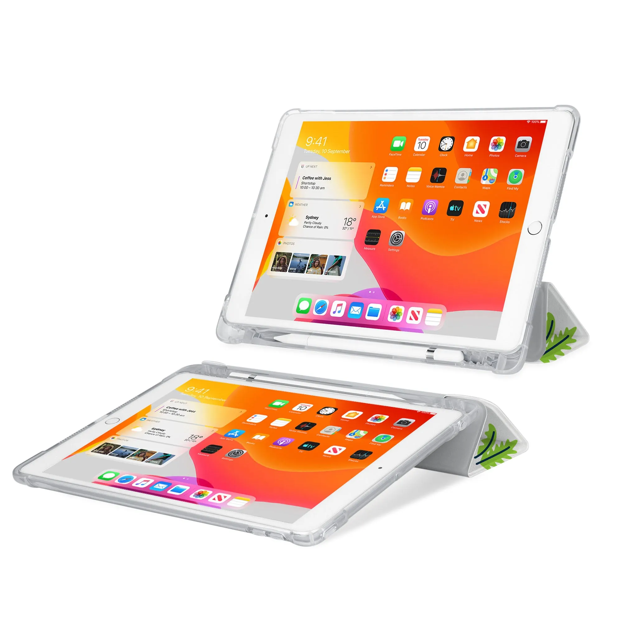 iPad SeeThru Case - Dinosaur
