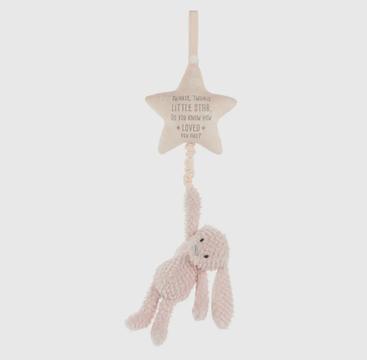 Musical Pull Toy - Bunny