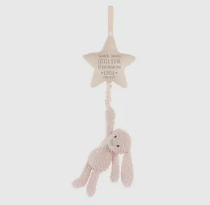Musical Pull Toy - Bunny