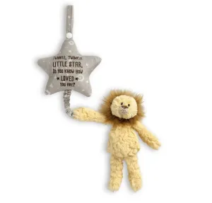 Musical Pull Toy