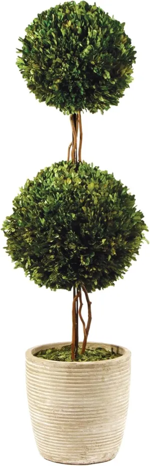 MY SWANKY HOME Elegant Double Ball Topiary Pot English Boxwood 28 in Classic Greenery Tabletop