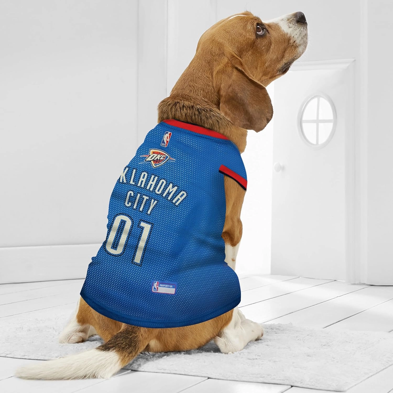 NBA OKLAHOMA CITY THUNDER DOG Jersey, Small - Tank Top Basketball Pet Jersey