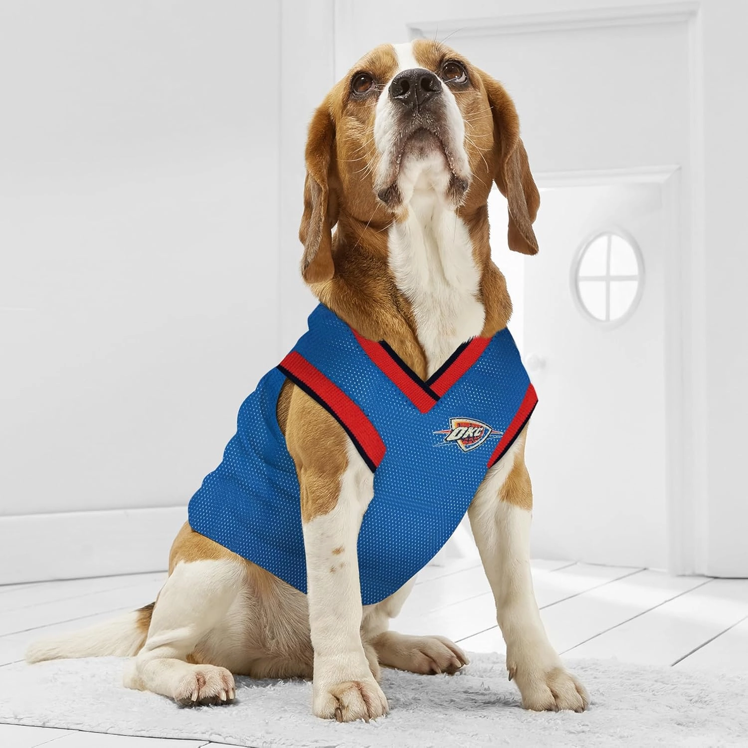 NBA OKLAHOMA CITY THUNDER DOG Jersey, Small - Tank Top Basketball Pet Jersey