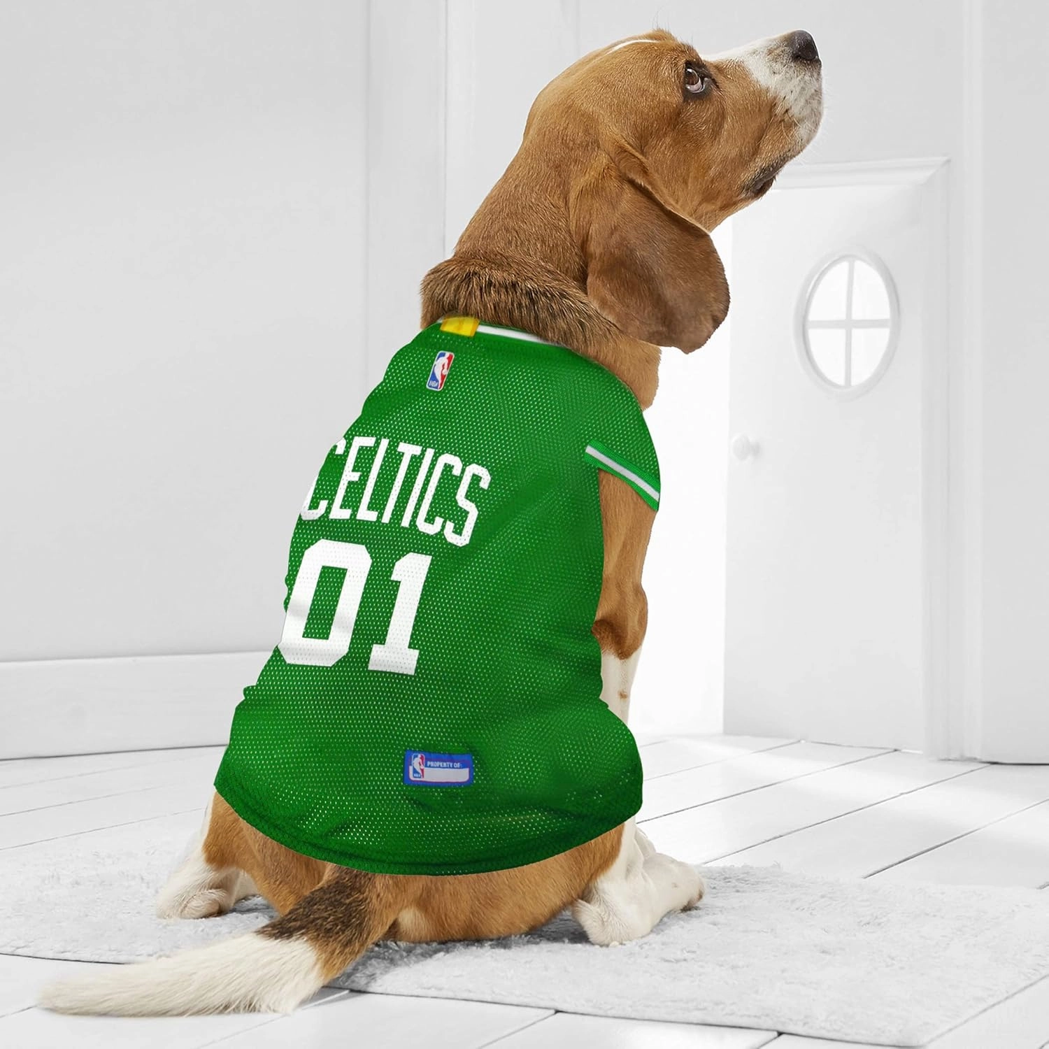 Pets First NBA BOSTON CELTICS DOG Jersey, Small - Tank Top Basketball Pet Jersey