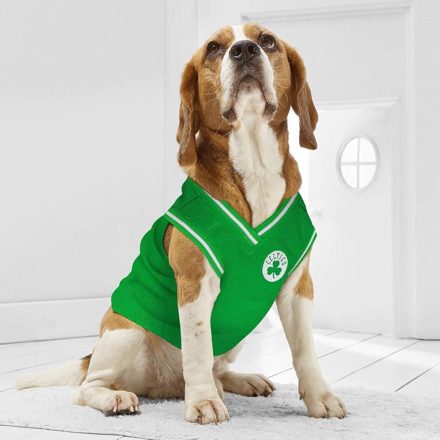 Pets First NBA BOSTON CELTICS DOG Jersey, Small - Tank Top Basketball Pet Jersey