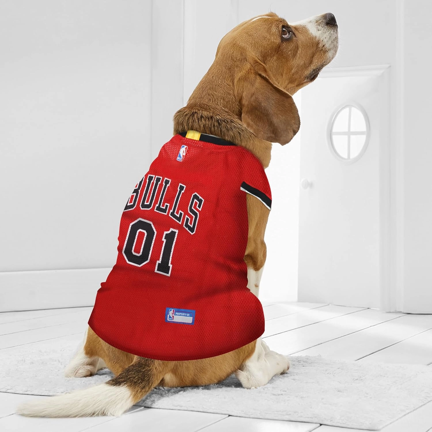 Pets First NBA CHICAGO BULLS DOG Jersey, X-Large - Tank Top Basketball Pet Jersey