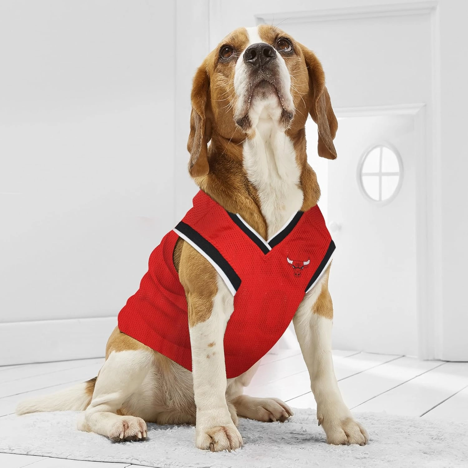 Pets First NBA CHICAGO BULLS DOG Jersey, X-Large - Tank Top Basketball Pet Jersey