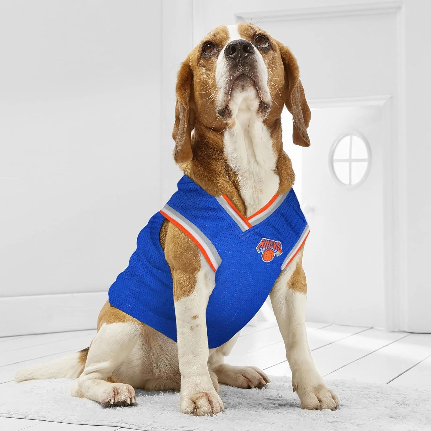 Pets First NBA NEW YORK KNICKS DOG Jersey, Large - Tank Top Basketball Pet Jersey