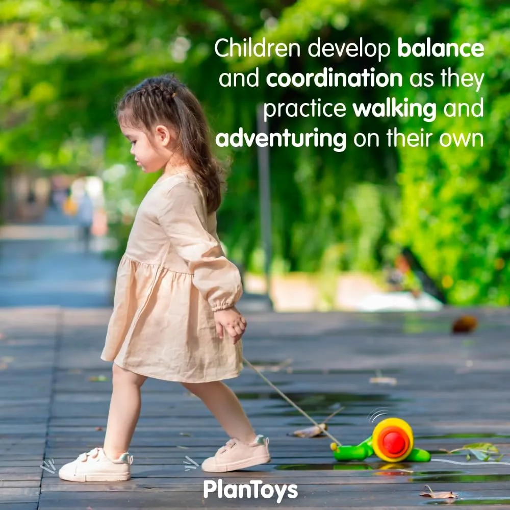 PlanToys Pull Along Toy Snail - Sustainably Made from Rubberwood Featuring Organic-Pigment Coloring and Water-Based Dyes with Crawling Action as it Rolls on the Edges of the Shell