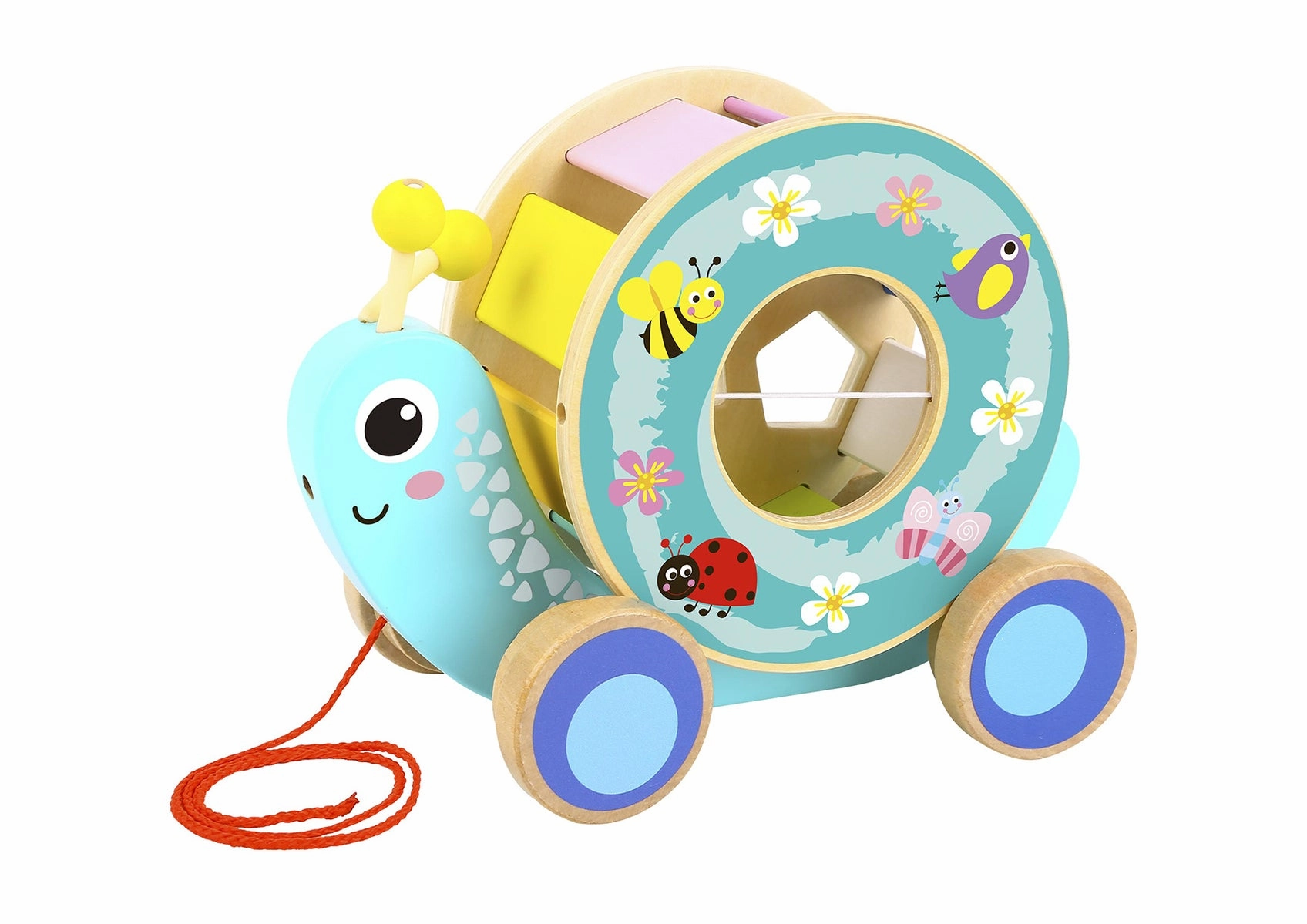 Pull Along Snail With Rolling Wheel & Blocks