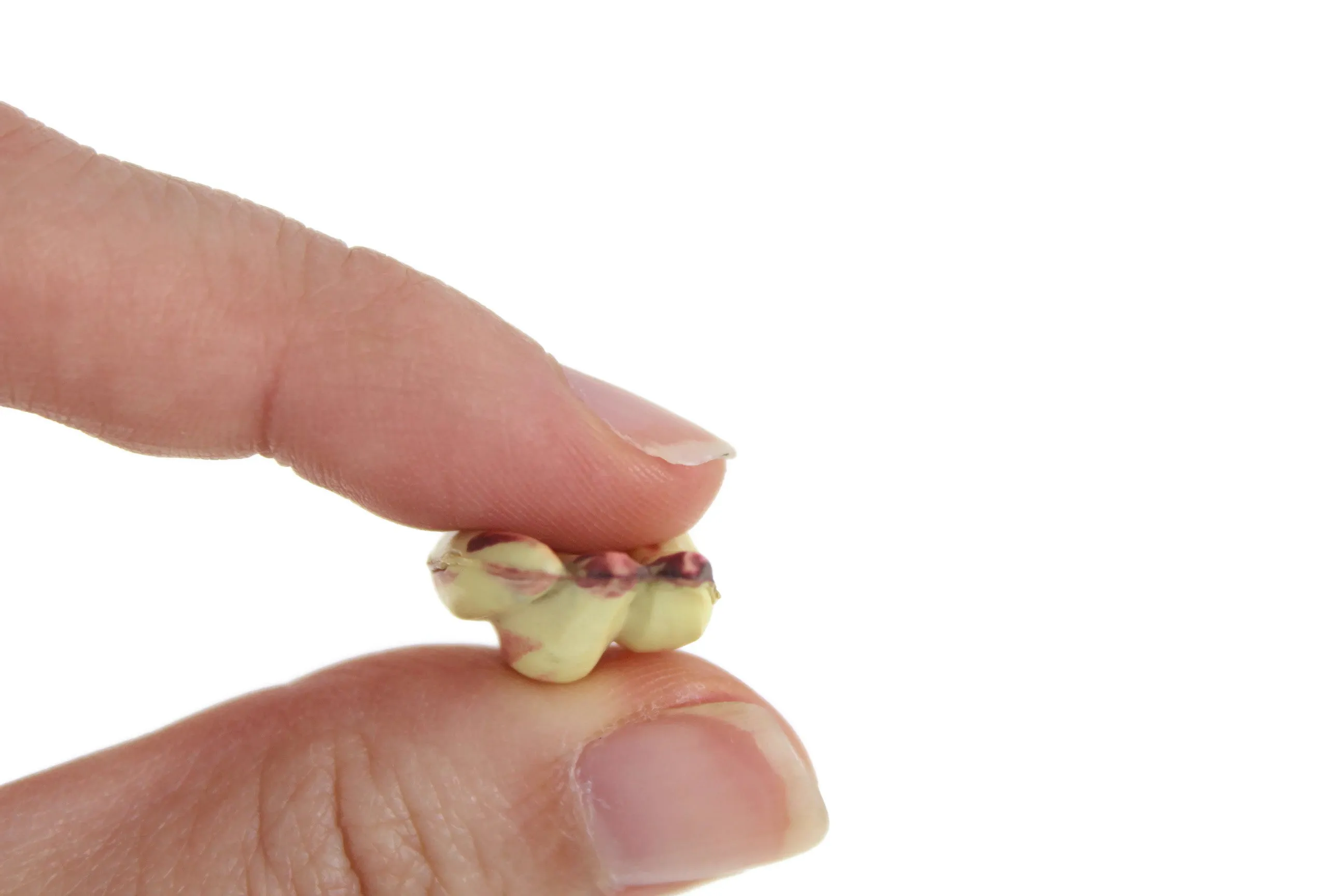 Set of 3 Vintage 1:12 Miniature Dollhouse Plastic Fruit & Vegetables