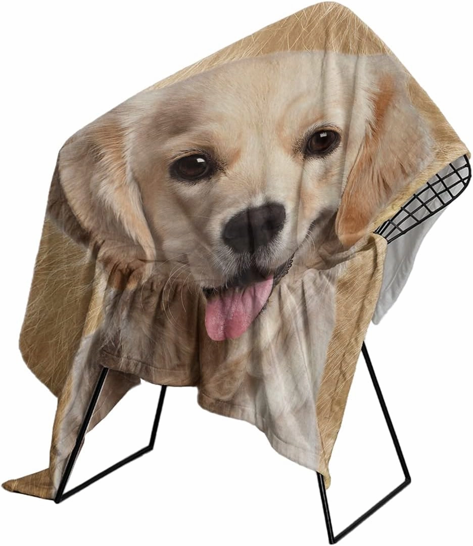 SOULZZZ Golden Retriever Flannel Fleece Blanket Cute Puppy Dog Plush Throw Blanket Fuzzy Soft Warm Cute Animals Blanket Golden Retriever Dog Lovers Gifts Throw 50 x 60 Inches