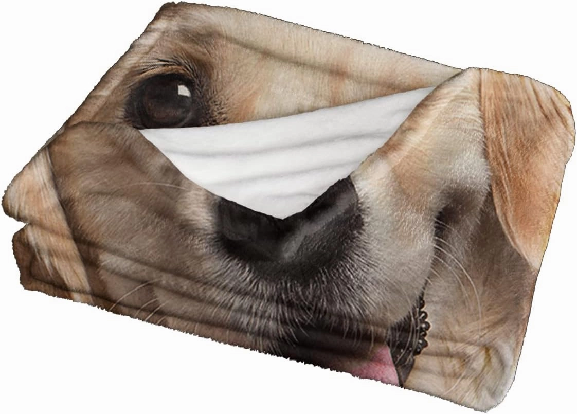SOULZZZ Golden Retriever Flannel Fleece Blanket Cute Puppy Dog Plush Throw Blanket Fuzzy Soft Warm Cute Animals Blanket Golden Retriever Dog Lovers Gifts Throw 50 x 60 Inches