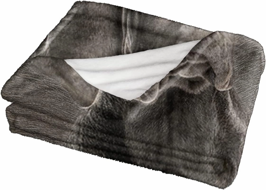 SOULZZZ Grey Great Dane Flannel Throw Blanket for Women Girls Kids Soft Warm Dog Fleece Blanket Cute Animal Pet Blanket for Dog Lovers Home Decor