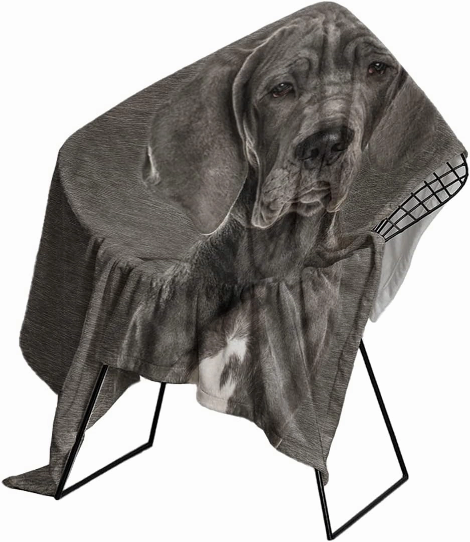 SOULZZZ Grey Great Dane Flannel Throw Blanket for Women Girls Kids Soft Warm Dog Fleece Blanket Cute Animal Pet Blanket for Dog Lovers Home Decor