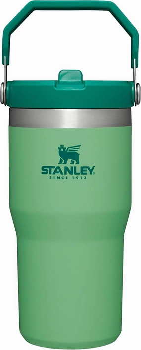 STANLEY IceFlow Stainless Steel Tumbler - Vacuum Insulated Water Bottle for Home, Office or Car Reusable Cup with Straw Leak Resistant Flip Cold for 12 Hours or Iced for 2 Days