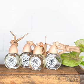 Transform Scents "Australian Bush" Car Diffuser