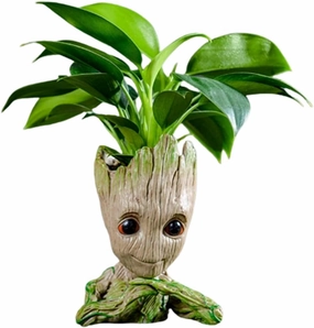 Unique Planter for Indoor Plants Pot Cactus Cute Flowerpot with Drainage Hole,Funny Succulent Planters Home Decor Adorable Christmas Birthday Gift for Plant Lovers -6 inch
