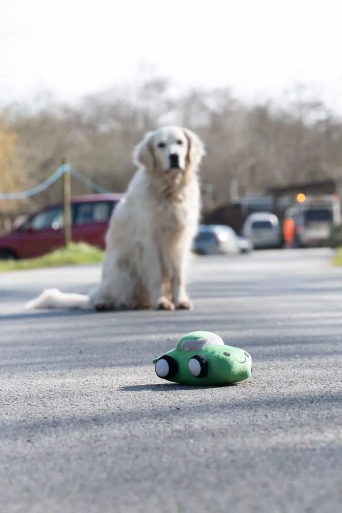 Vehicles Speedy Steve The Racing Car Plush Dog Toy