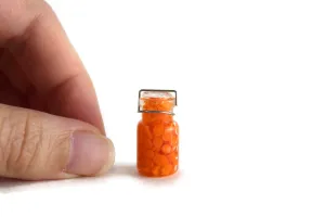 Vintage 1:12 Miniature Dollhouse Canned Carrot Slices
