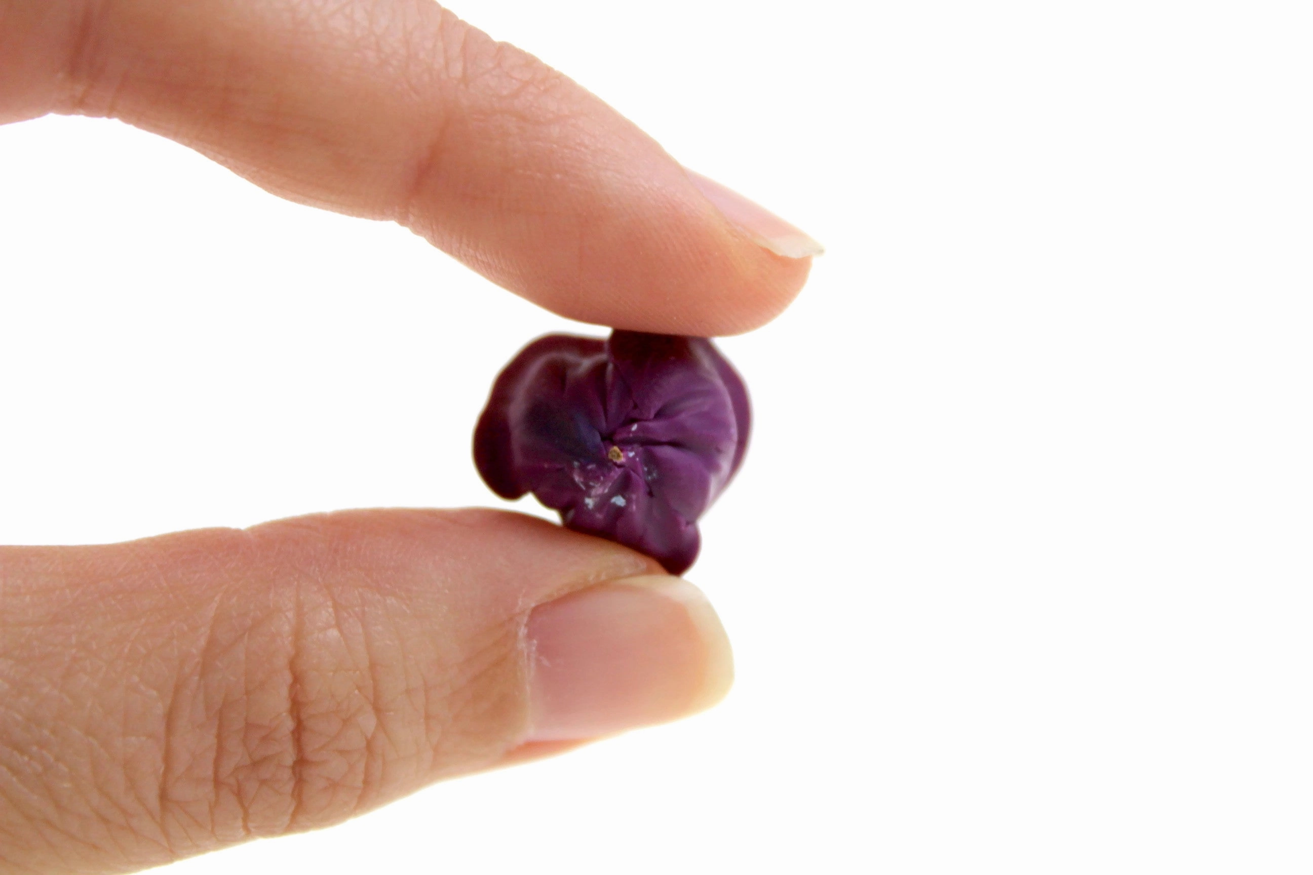 Vintage 1:12 Miniature Dollhouse Head of Purple Cabbage
