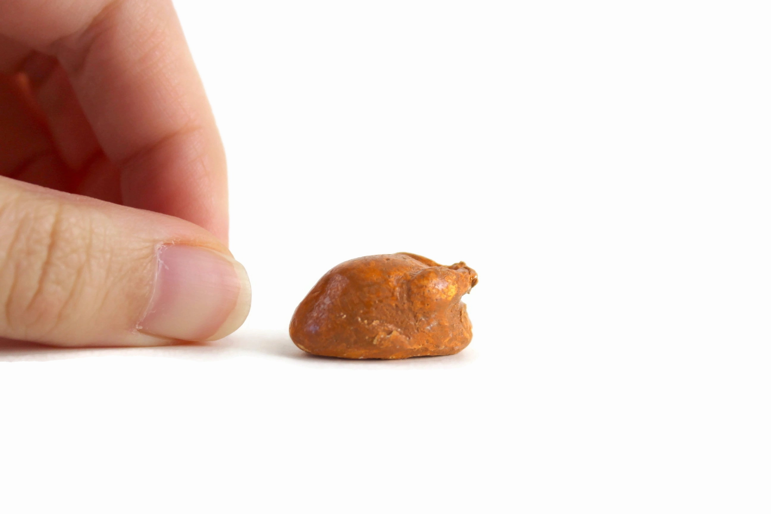 Vintage 1:12 Miniature Dollhouse Roasted Turkey or Chicken