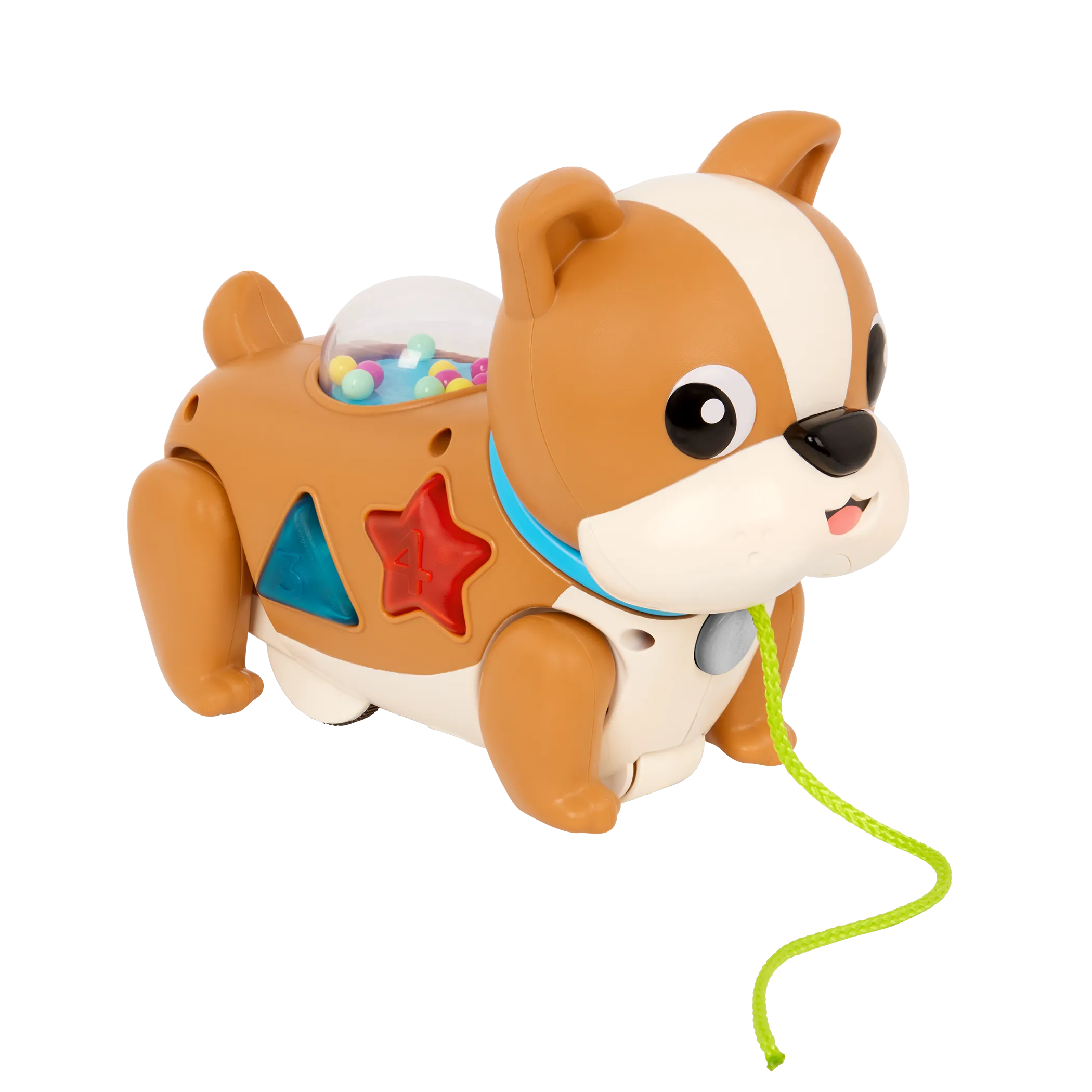 Walk Along Puppy