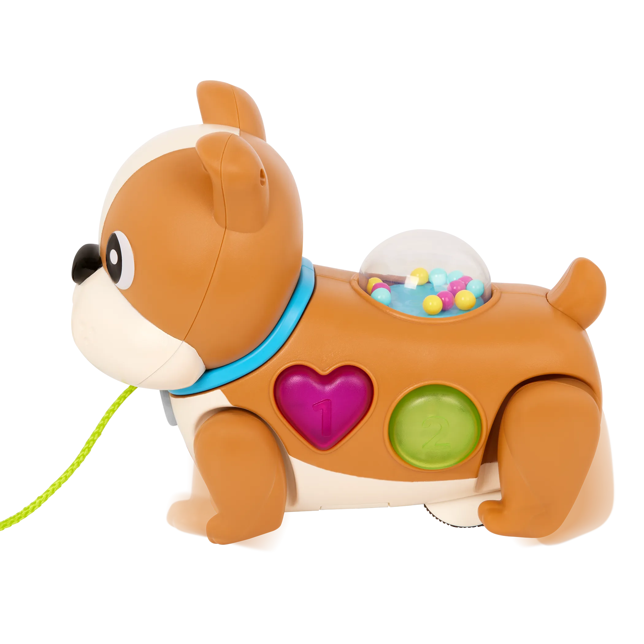 Walk Along Puppy