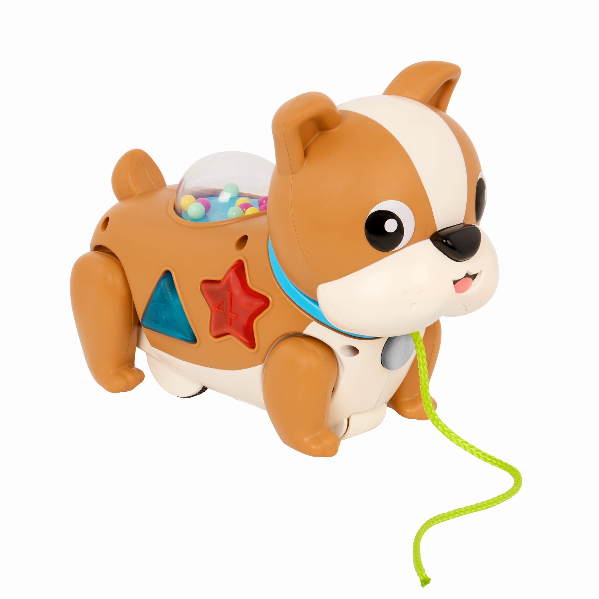 Walk Along Puppy