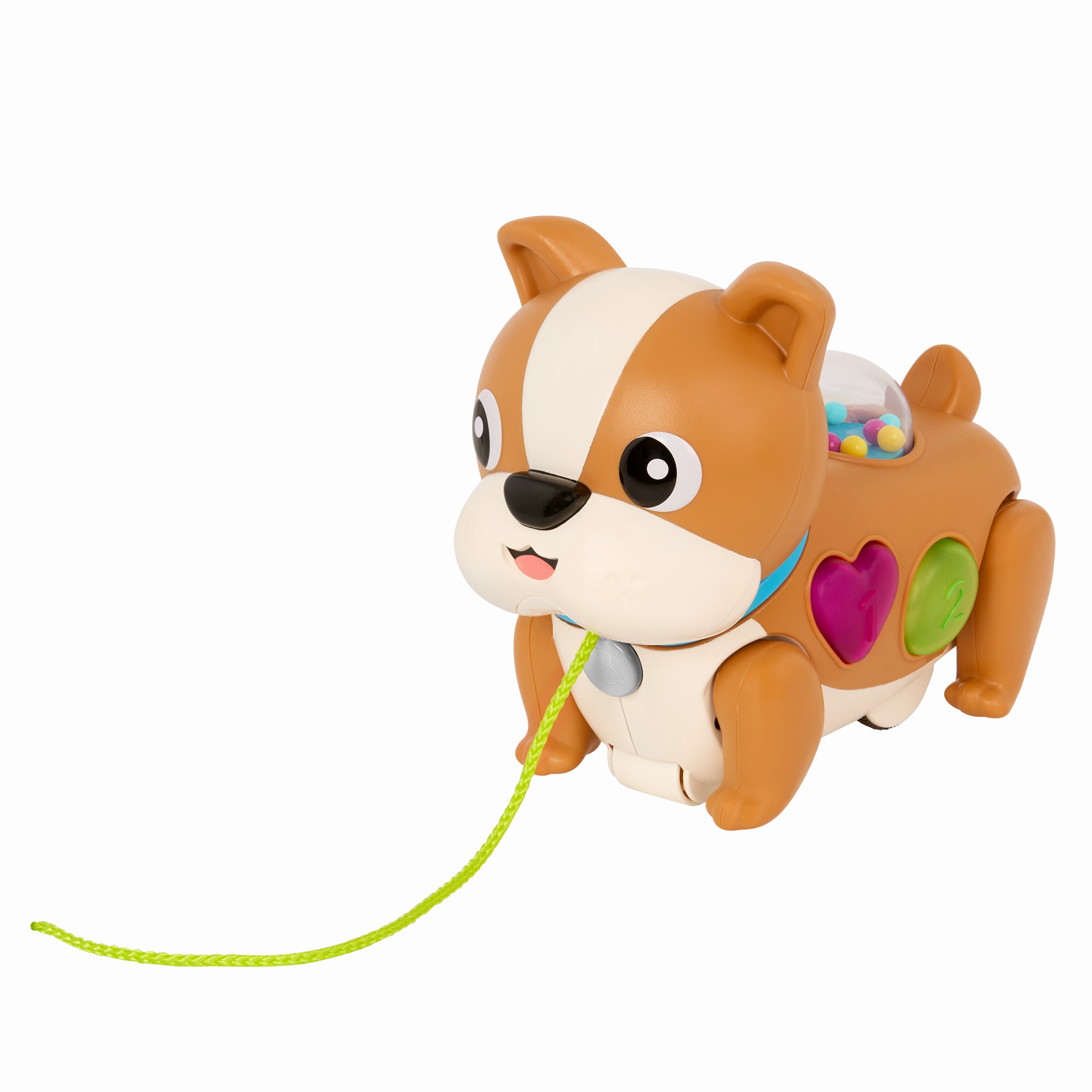 Walk Along Puppy