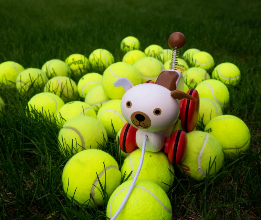 Wiggles The Dog Pull Toy