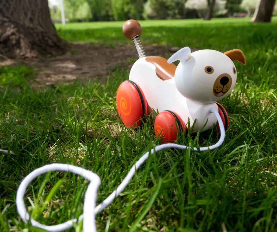 Wiggles The Dog Pull Toy